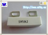 Rx27-4hl Cement Wirewound Resistor with ISO9001