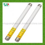 Cylindrical High Voltage Ceramic Fuse (XRNP6) (XRNP6-35kV)