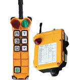 Crane Radio Remote Control 110V F24-6D