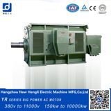 Slip Ring Asynchronous Three Phase 1950kw AC Motor