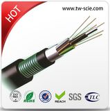 Direct Buried Optical Fiber Aluminum Armored Cable (GYTA53)