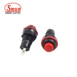 Ds-211 1A 250VAC Small on-off 10mm Push Button Switch