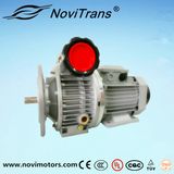 3kw AC Soft Starting Motor with Speed Governor (YFM-100G/G)