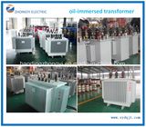 Power Equipment Oil Immersed Power Distribution Transformer 6~33kv