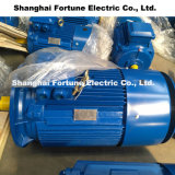 Ie2 Ye2 Series High Efficiency Three-Phase Asynchronous Brushless AC Motor