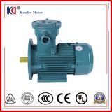 Yb3-225m-2 IP55 Three Phase AC Ex-Proof Electrical Motor