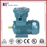 AC Induction Ex-Proof Motor Yb3 Series