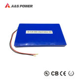 Rechargeable LiFePO4 12V 20ah Storage Lithium Battery for Solar Light