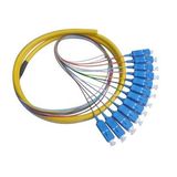 High Speed 12 Cores Distribution Fiber Optic Pigtail