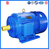 Ie2 Three Phase High Efficiency AC Induction Motor