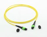 MTP/MPO Singlemode 12cores Fiber Optic Patch-Cord