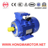 2hma Series Motor/Ie2 (EFF1) High Efficiency Electric Motor with 4pole-11kw