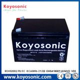 12V 12ah Battery 12V 12ah 20hr Rechargeable UPS Battery 12V 12ah LiFePO4