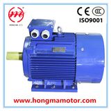 Asynchronous High Efficient AC Motor (180L-4-22KW)