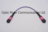 12f MPO-MPO mm Om4 Patchcord