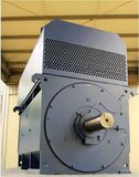 Big Squirrel Cage 1000kw 1500rpm AC Motor