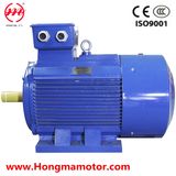 NEMA Standard Asynchronous Motor (449TS-4-250HP)