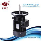 Special Motor for Stainless Pump Long Shaft AC Efficiency Electric Motor