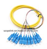 Fiber Optic Patchcord Fiber Connector 12 Core Bundle Pigtail Sc/Upc G652D