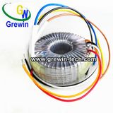 Silicon Steel Toroidal Transformer for Digital Network