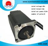 60bl3a110 DC Motor/ Brushless Motor/BLDC Motor