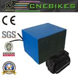 Rack Type 48V 20ah LiFePO4 Battery for Electric Bike