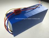 High Power 48V 30ah Lithium Battery Pack for E-Vehicle