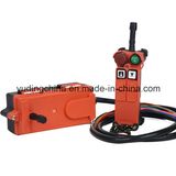 Industrial Wireless Radio Remote Control for Crane F21-2D