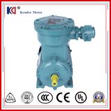 Explosion Proof Three Phase AC Motor