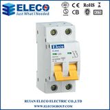 Hot Sale 2p Mini Circuit Breaker with Ce (ELB6K Series)