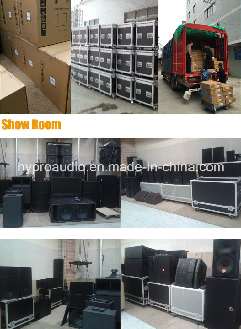 D&B Q1 Dual 10inch Neodymium Line Array Passive