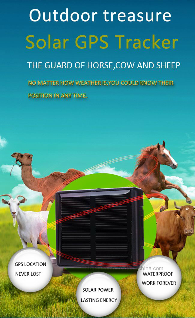 Solar Power GPS Tracker for Pets/Livestock (V26)