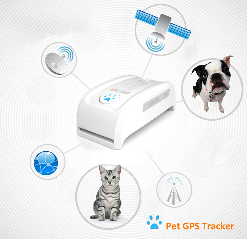 Newest Mini GPS Pets Tracker with Multi-Color Collar Tk909