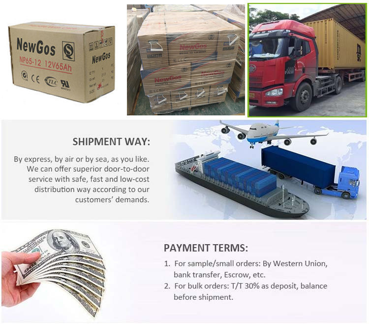 Sealed Lead Acid Battery Brand 12V 65ah Solar Battery