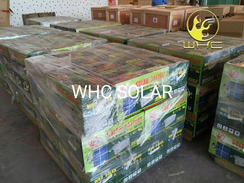 Whc 12V65ah Deep Cycle Gel Solar UPS Battery