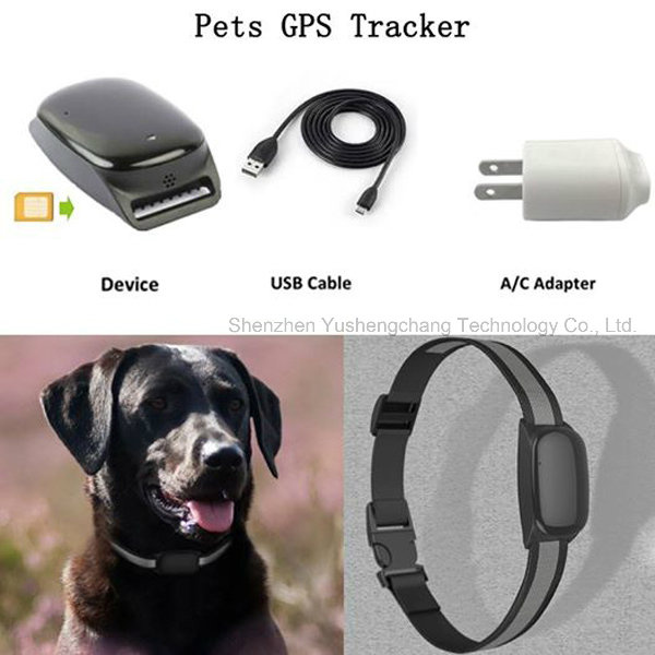 Mini IP66 Waterproof Pets GPS Tracker with Real Time Tracking (EV200)