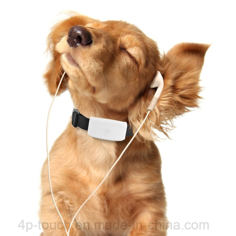 Waterproof Dog/Cat Pets GPS Tracker with Remote Voice Monitoring Tk911