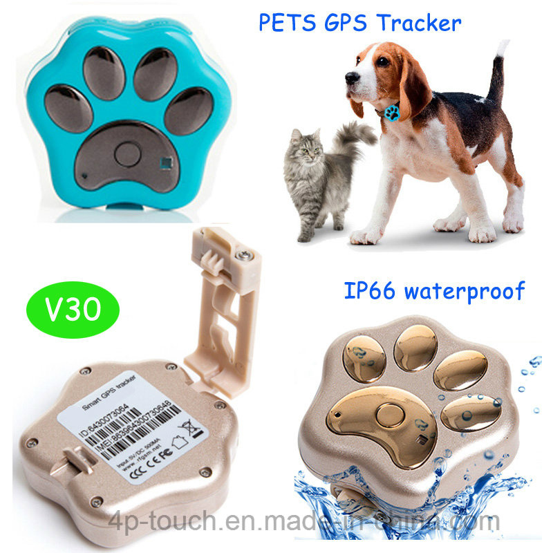 Cute GPS Tracker for Pet with Waterproof IP66 (V30)