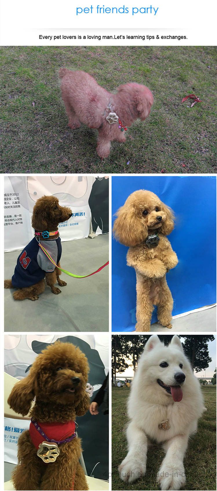 Waterproof IP66 3G Pet GPS Tracker with Collar (V40)
