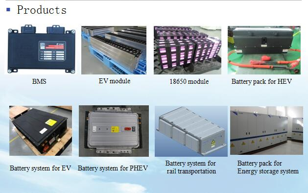 Factory Offer Battery Management System for E/V