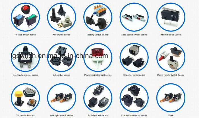 16A250VAC Ss24 Rocker Switches