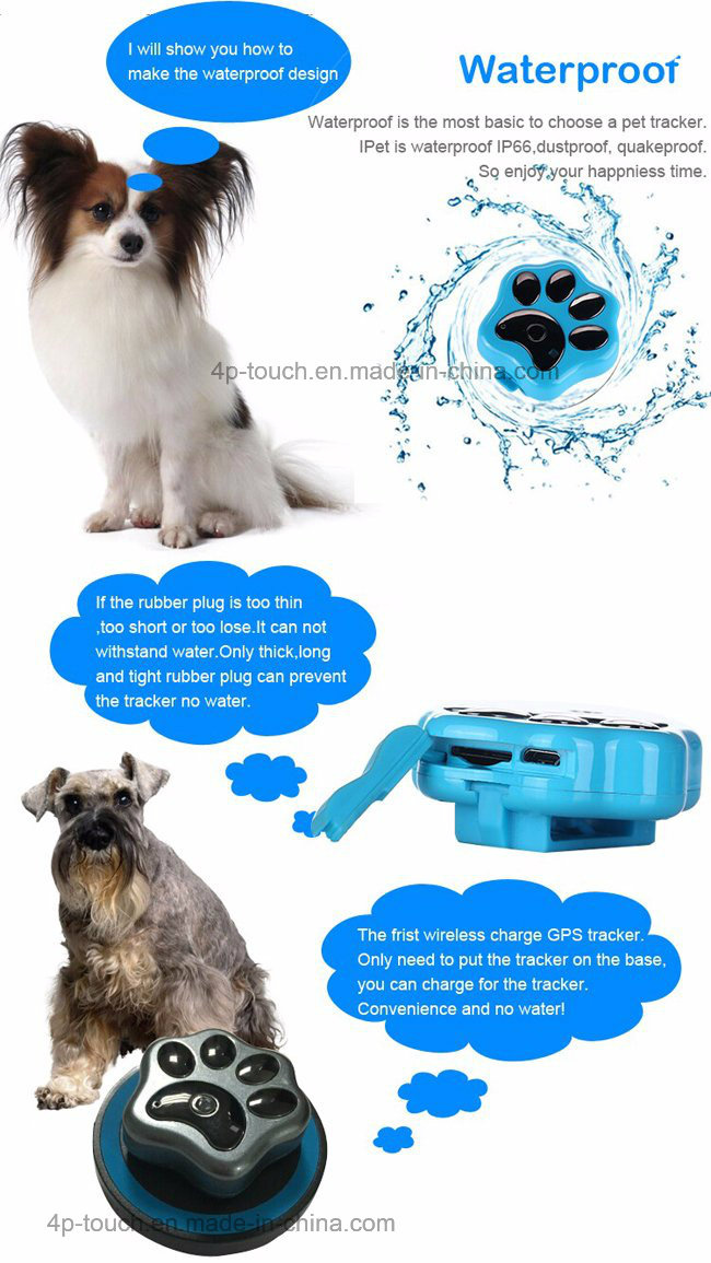 IP66 Waterproof Pets GPS Tracker with Wireless Charging (V32)