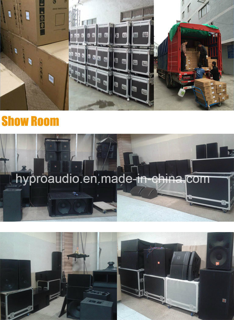 D&B Q1 Dual 10inch Neodymium Line Array Passive