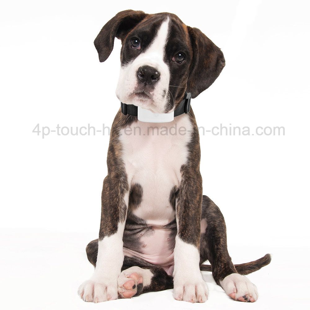 2g Network Waterproof Pets GPS Tracker with Geo-Fence Tk911