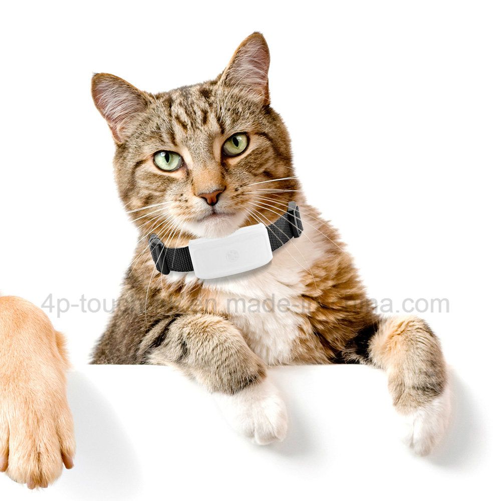 2g Network Waterproof Pets GPS Tracker with Geo-Fence Tk911