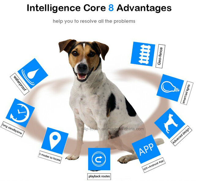 IP66 Waterproof Pets GPS Tracker with Wireless Charging (V32)