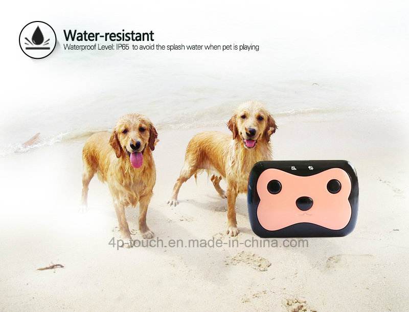 Micro SIM Card Tracker GPS Tracking Device for Pet (D69)