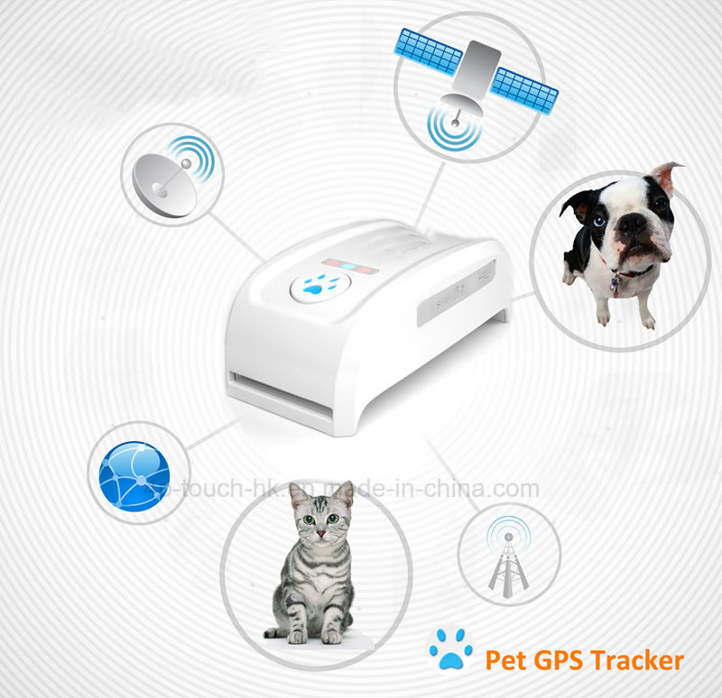 Newest Mini GPS Pets Tracker with Multi-Color Collar Tk909