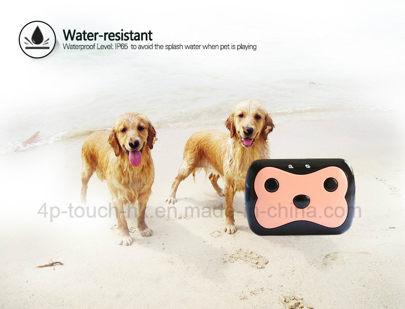 2g GSM Pets GPS Tracking Device with Real-Time Positioning D69