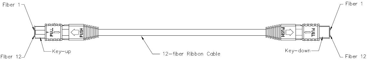 MPO Patch Cord Cable Assemblies